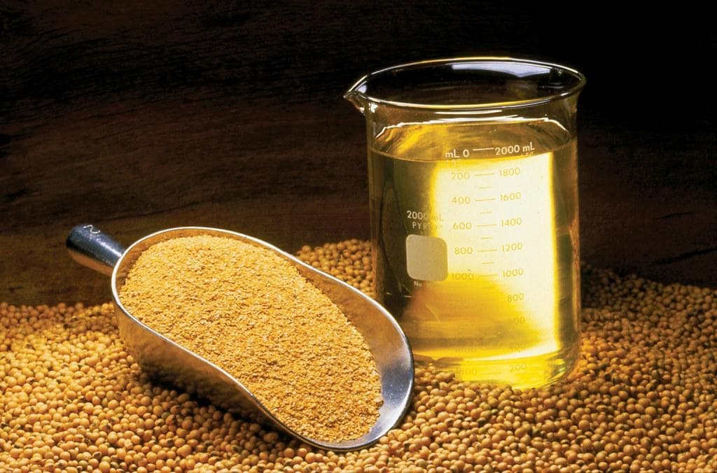 More than meal: Soybean as feed ingredient