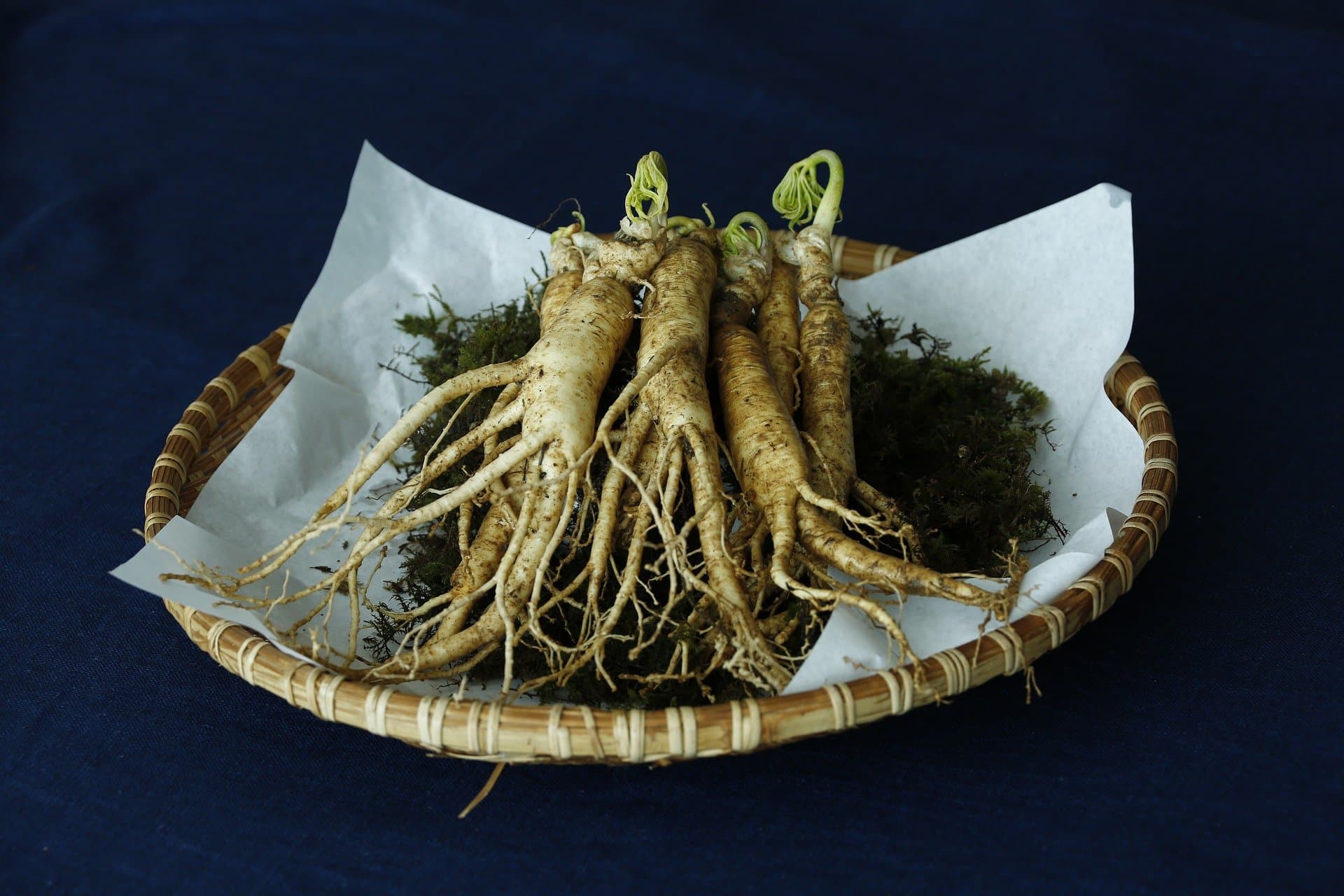 Ginseng making equipment