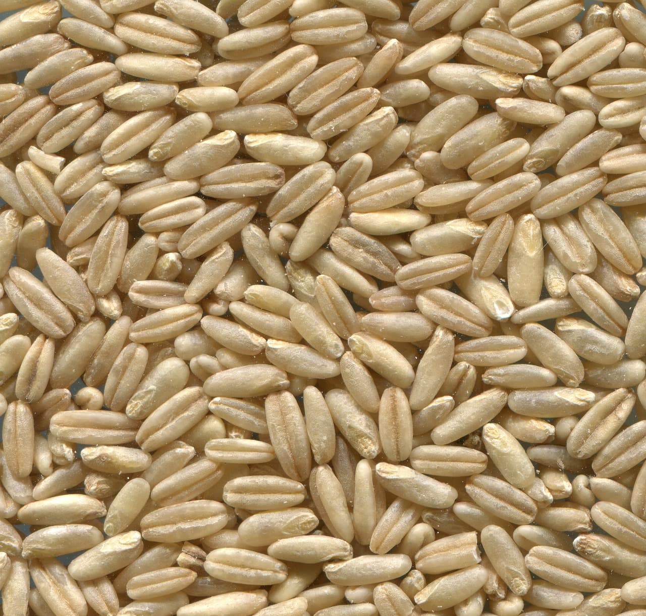 Grains