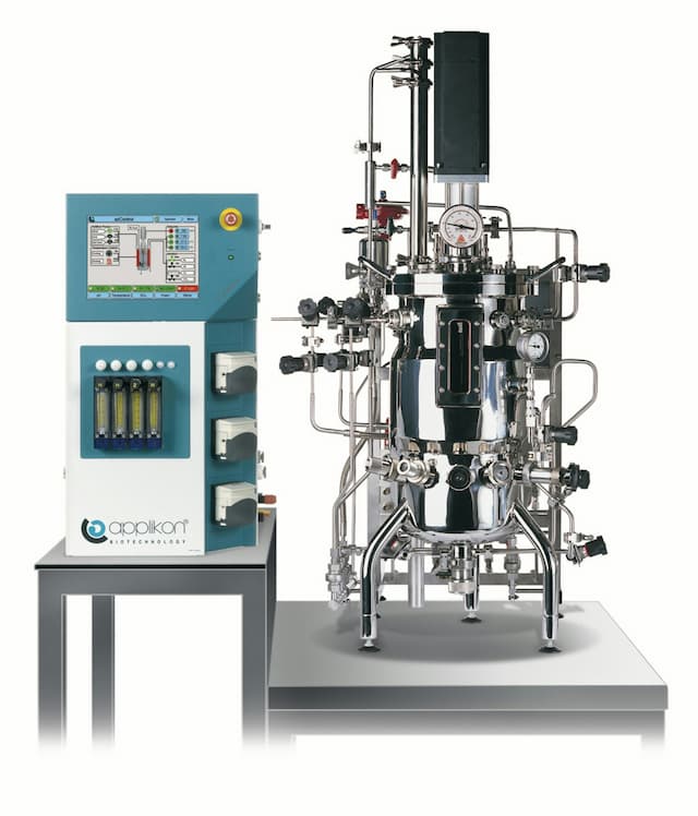 Steam-in-place bioreactor systems
