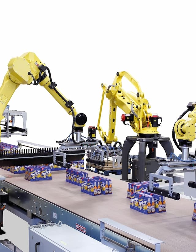 Robot palletizer for liquid containers