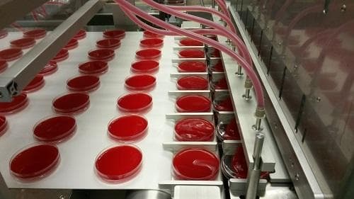 High speed petri dish filling machine