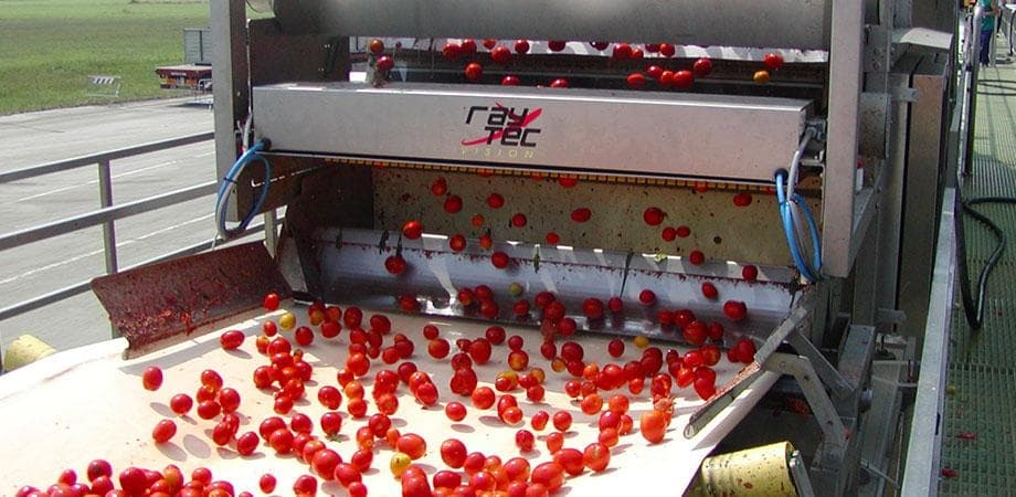 Inspect all types of tomatoes with speed up to 100 tons per hour.