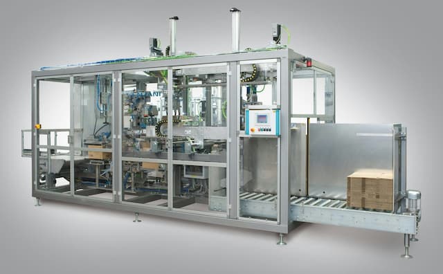 Case packer machine for pouches