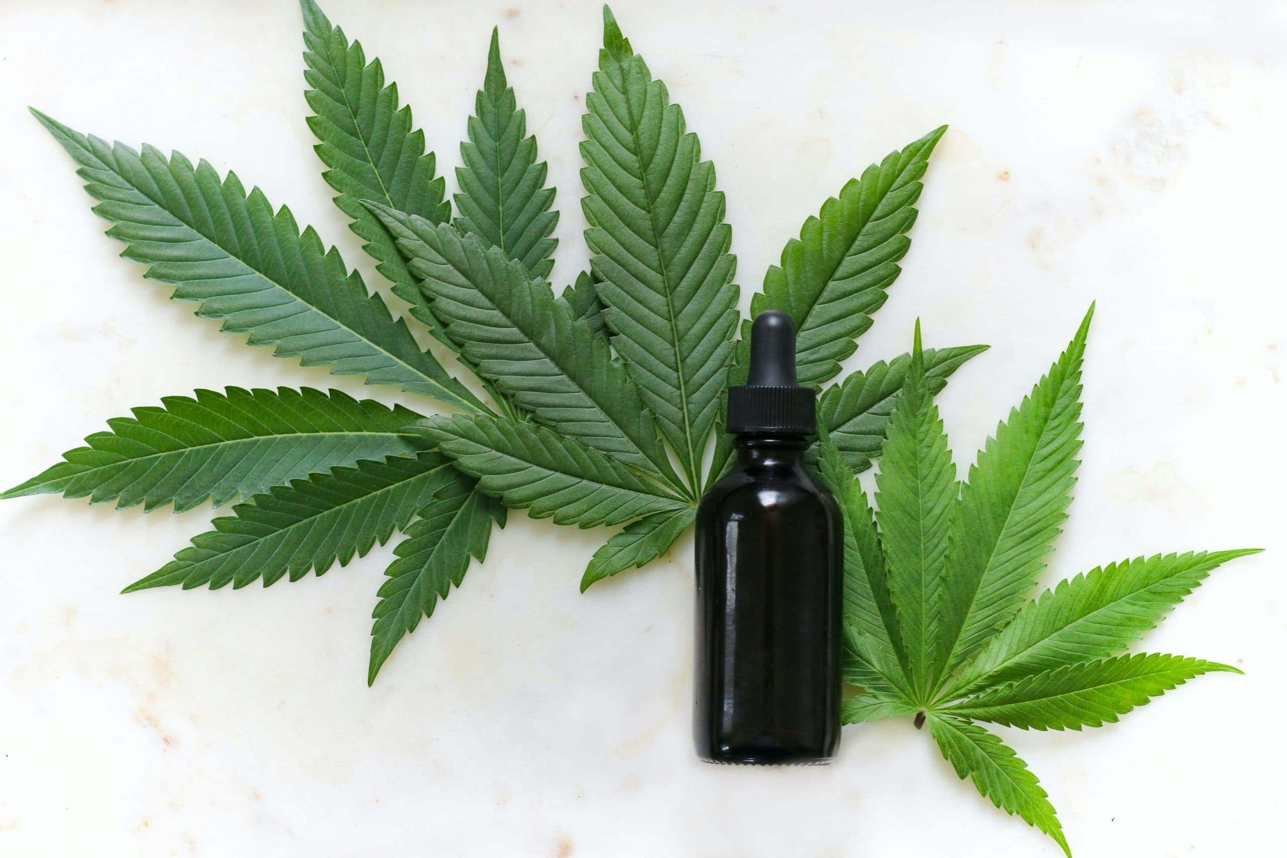 Which type of CBD oil could you make?