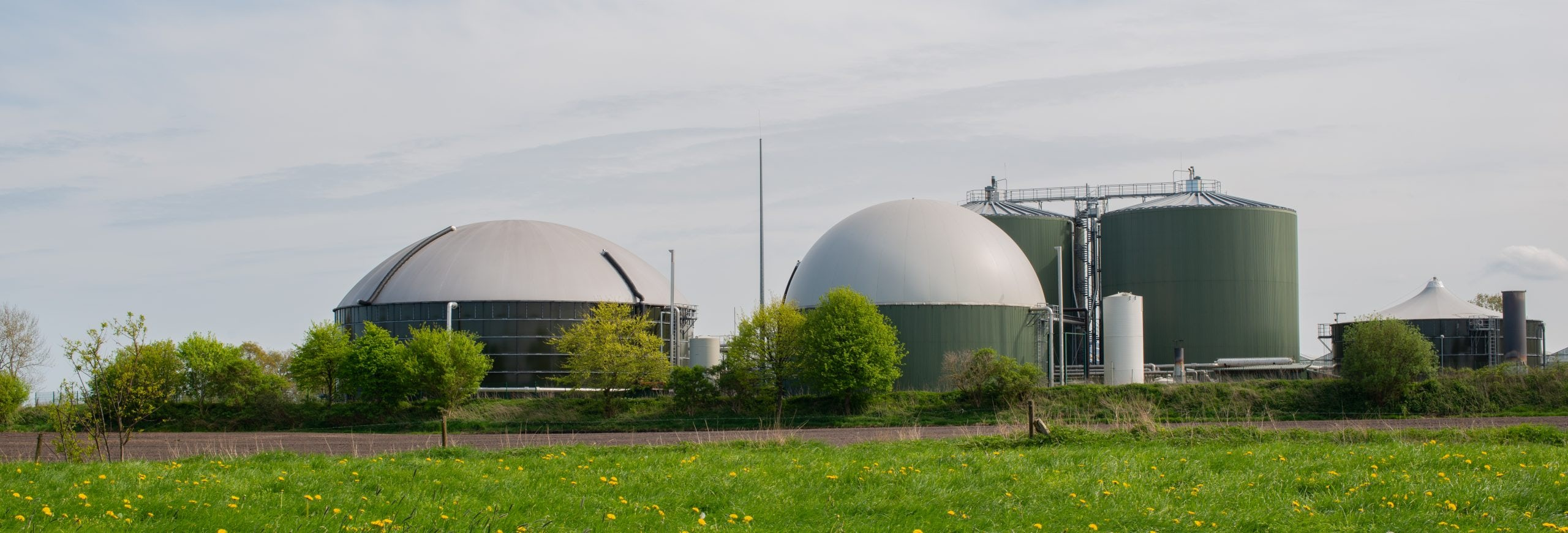 Let's make Biogas
