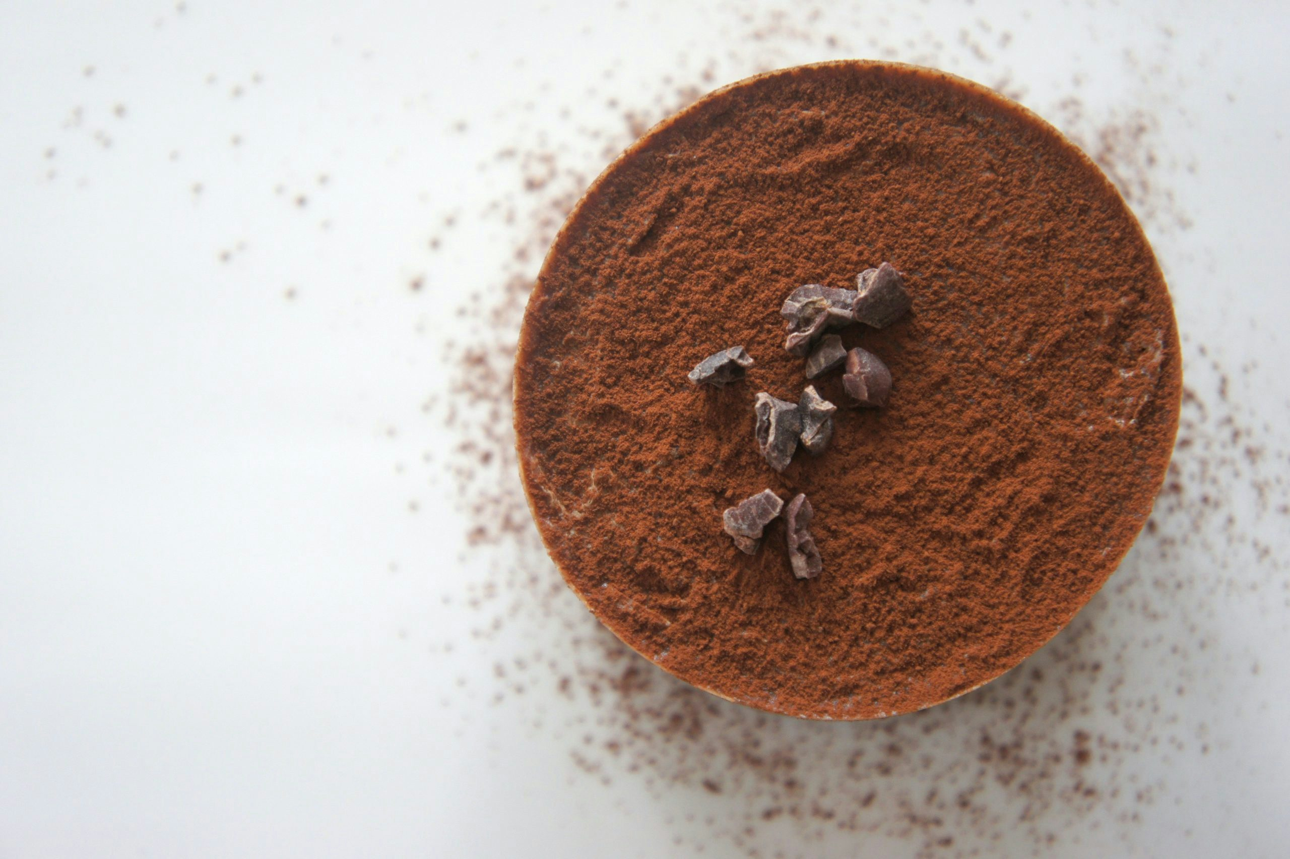 Cocoa powder drying
