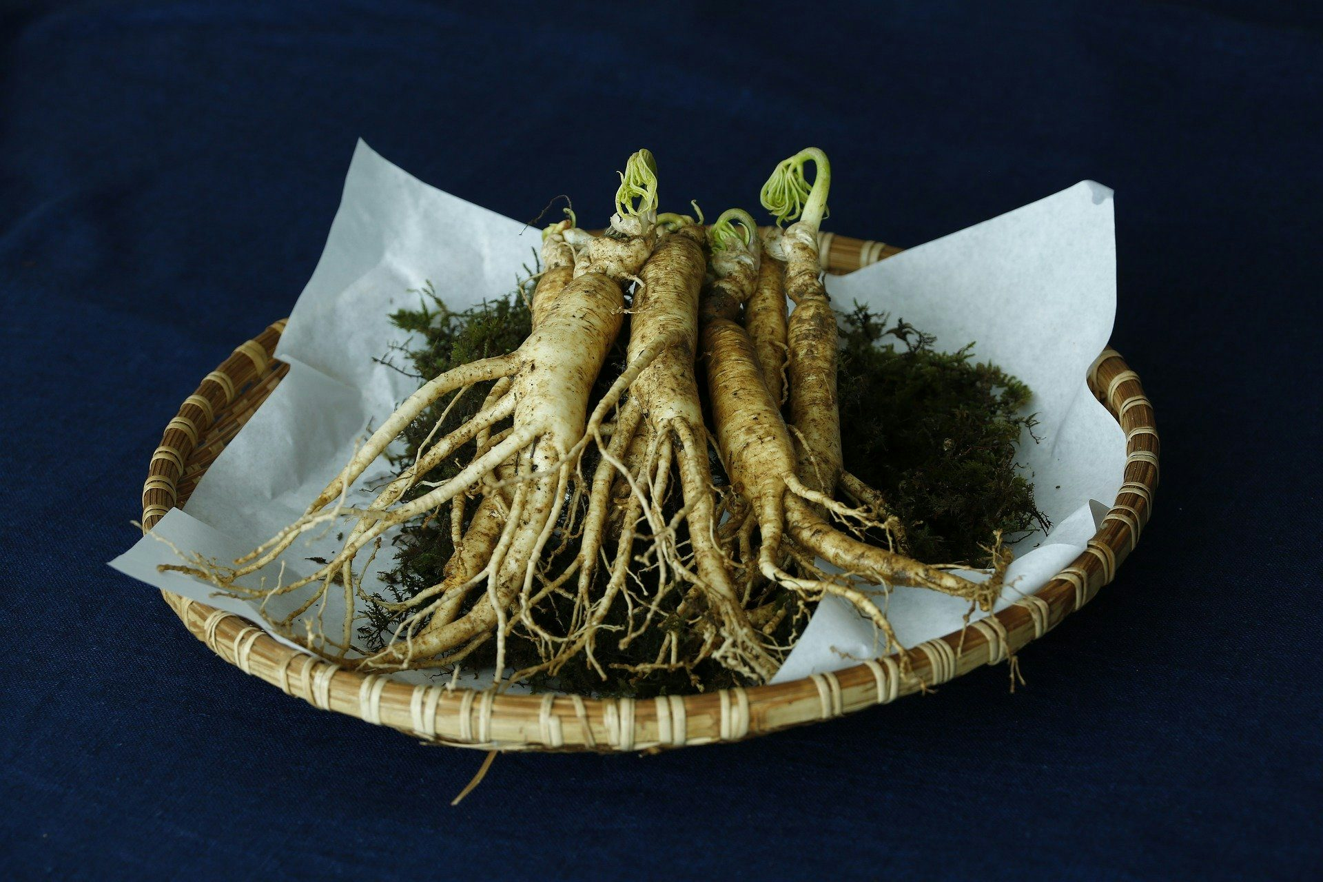 Ginseng extract drying