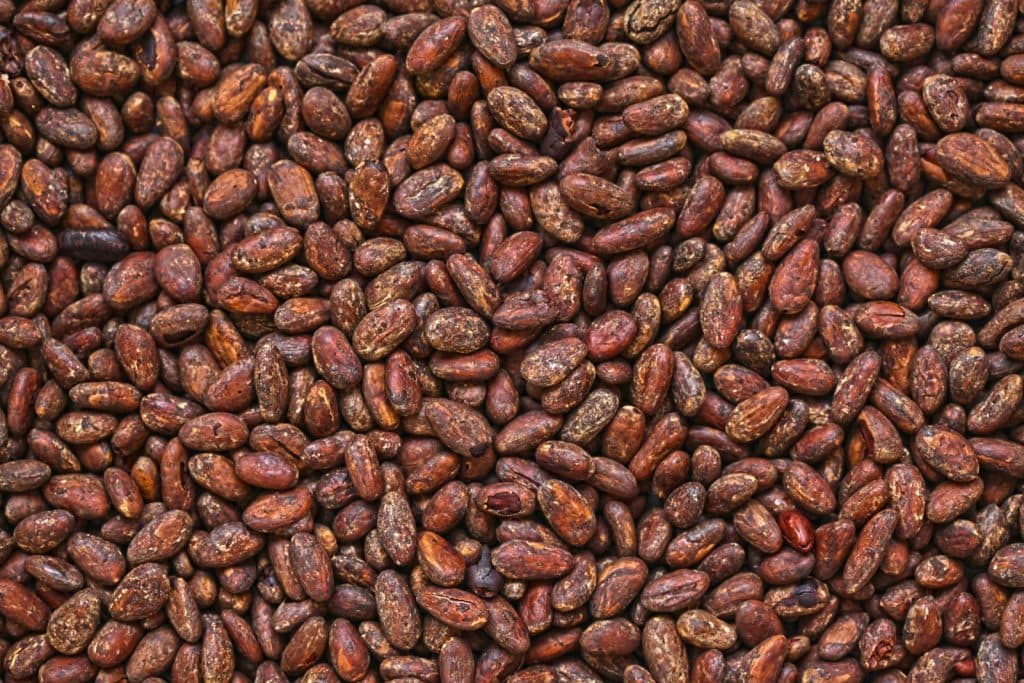 Making.com - Cocoa beans