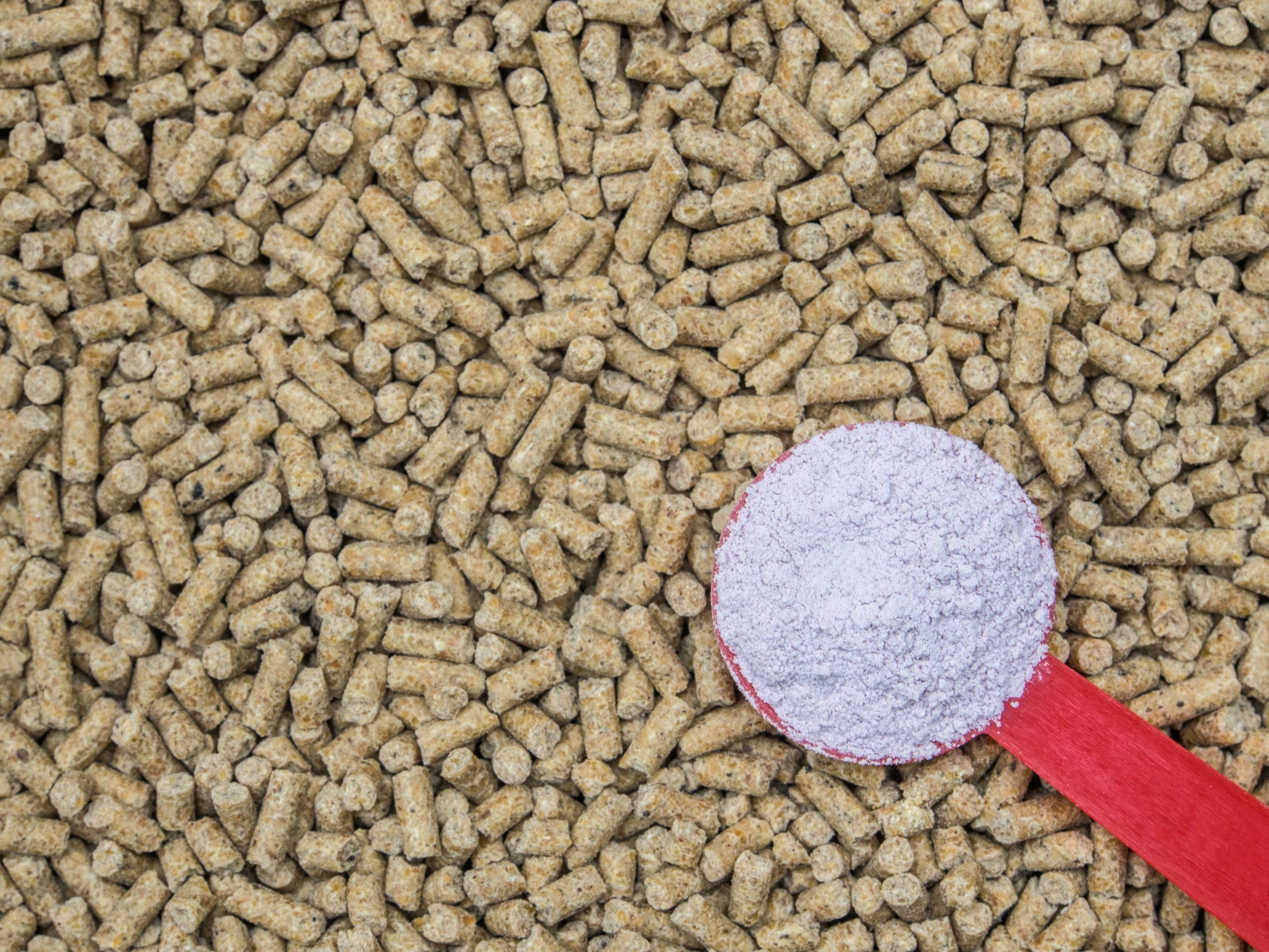 Feed concentrates pelleting