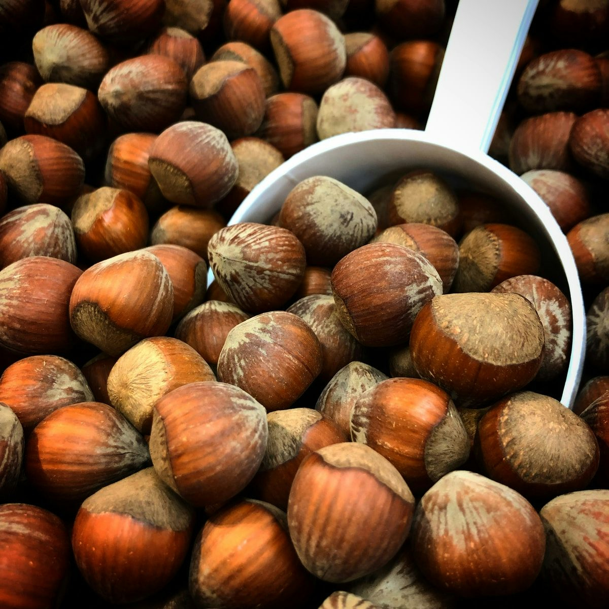 Hazelnuts milling