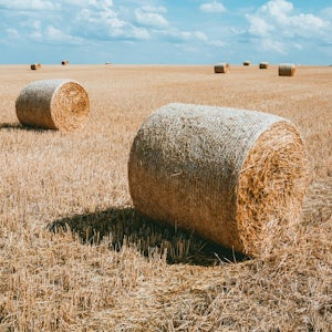 photography brown haystacks during daytime