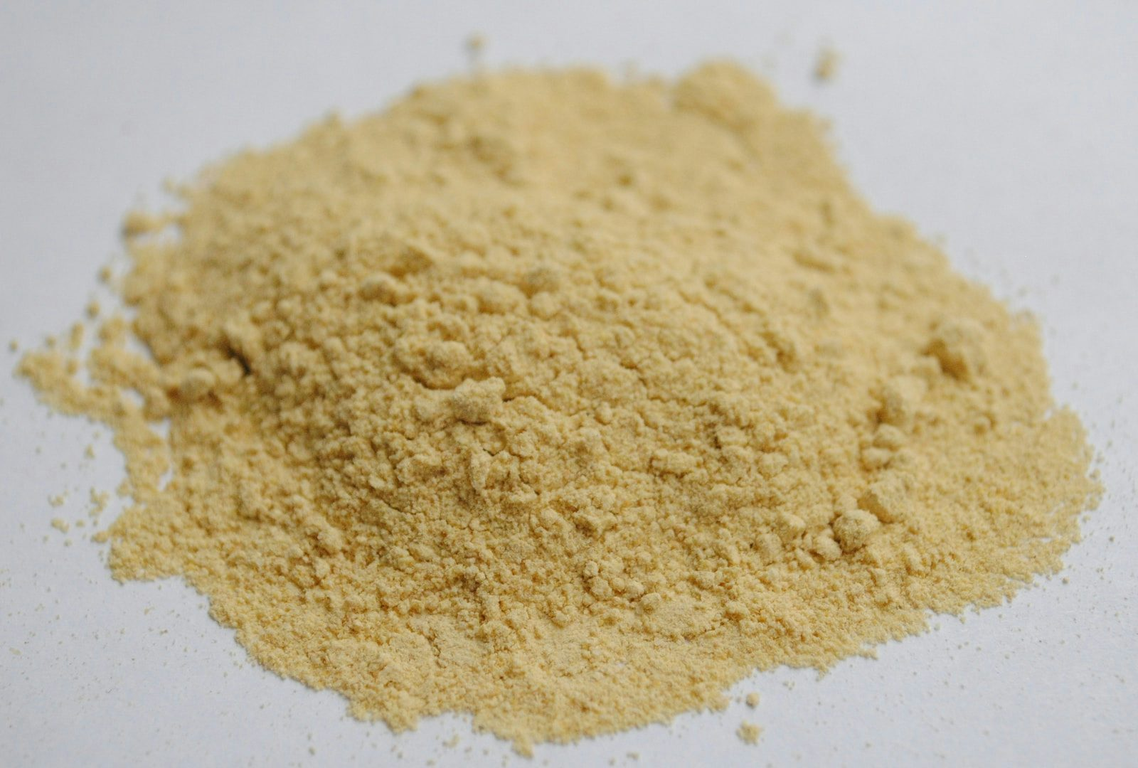 Protein powder drying