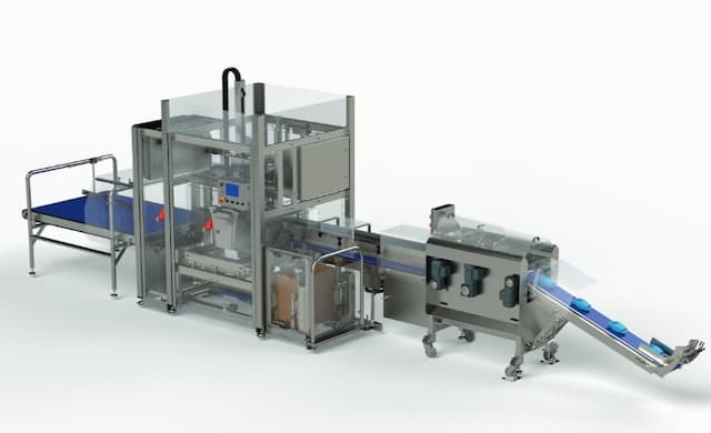 Semi-automatic case packer for chip bags
