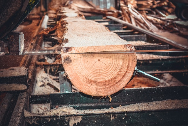 Sawmill.,Process,Of,Machining,Logs,In,Equipment,Sawmill,Machine,Saw