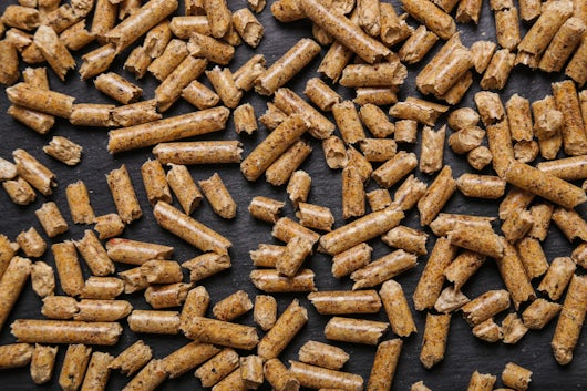 top view of pellets on a black surface