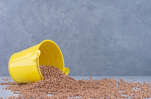yellow side-lying yellow bucket with grains spilling out on grey surface