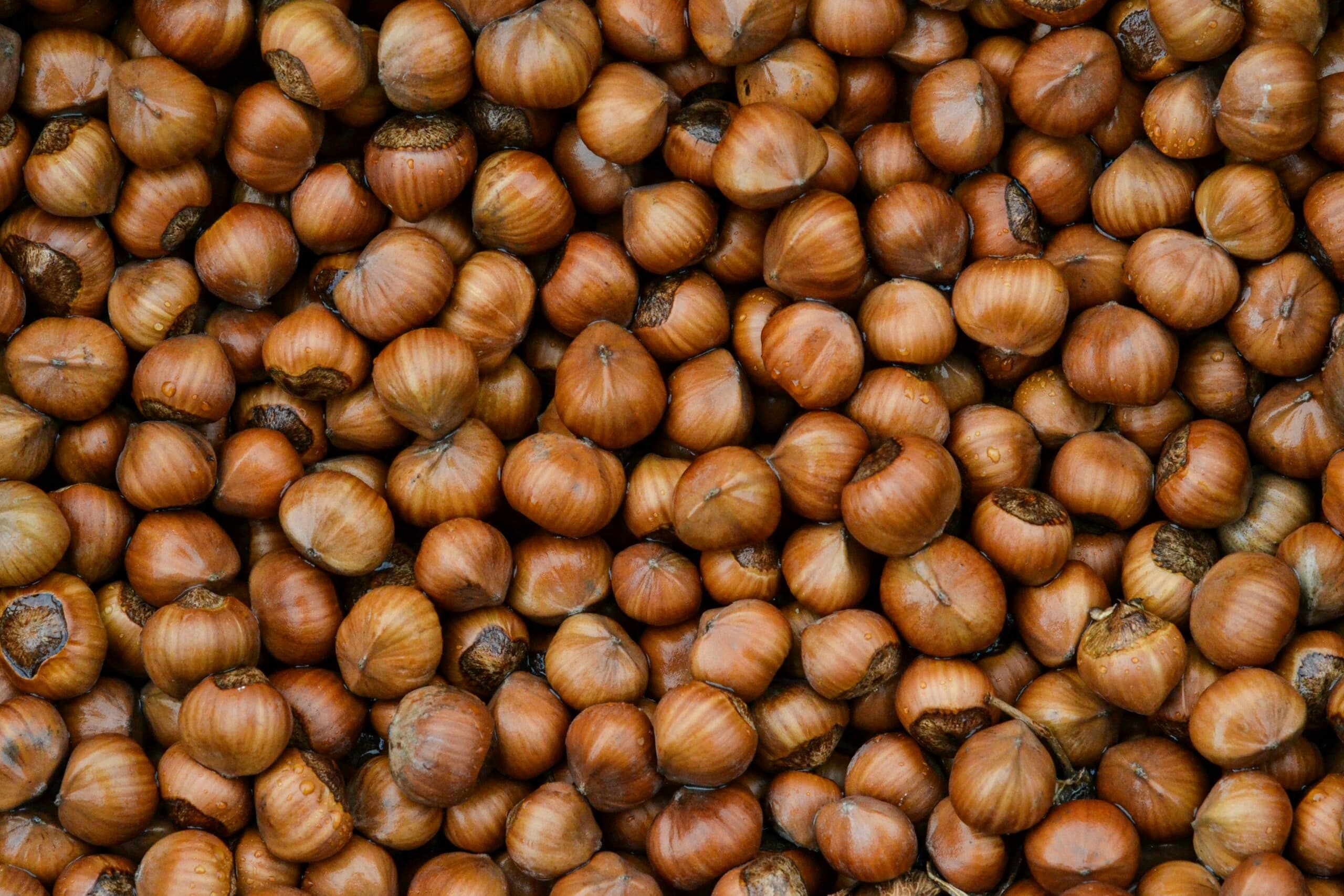 Say no to food waste. How to protect your hazelnuts from going rancid along the supply chain