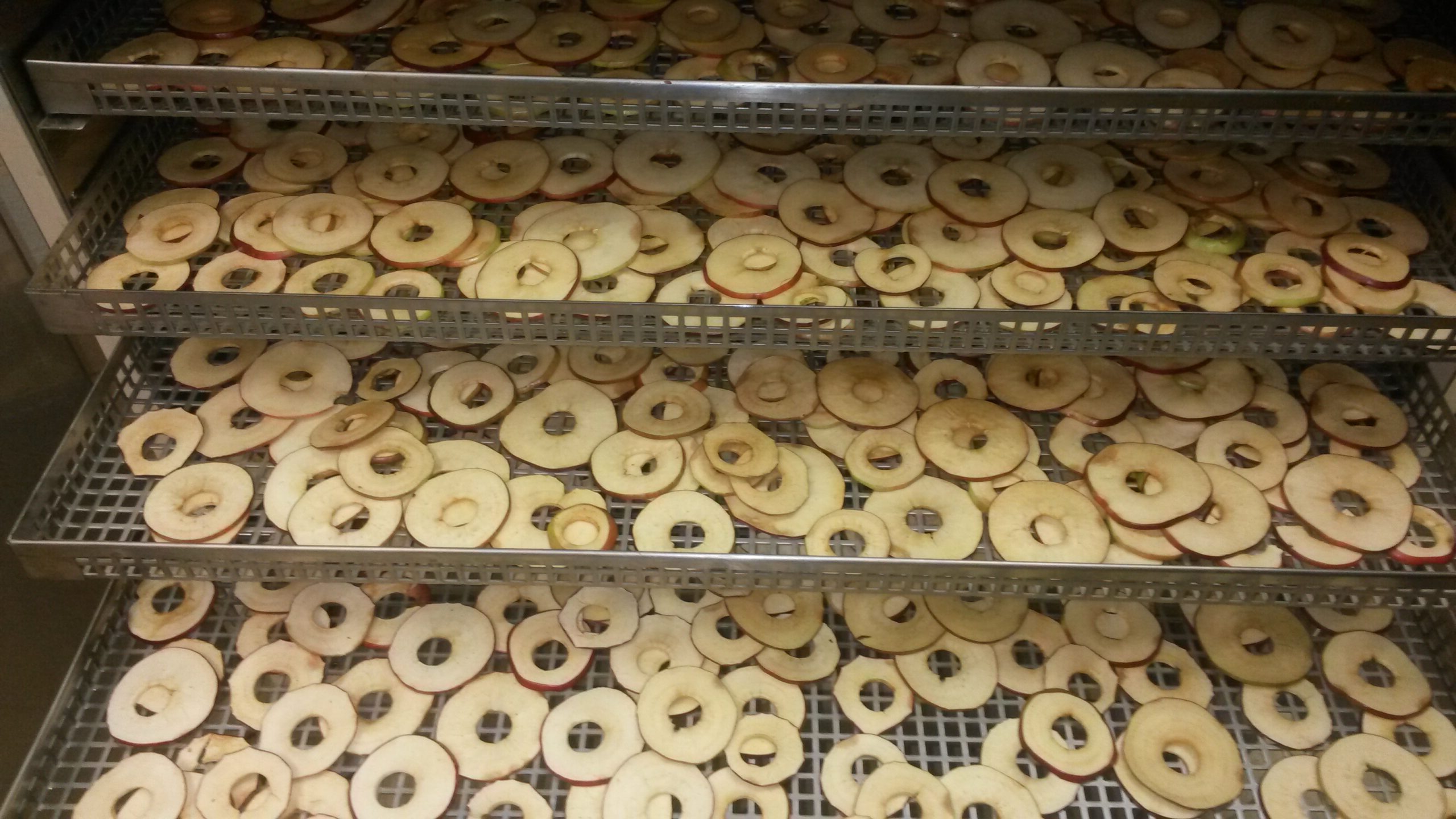 Energy saving cabinet dryer for food