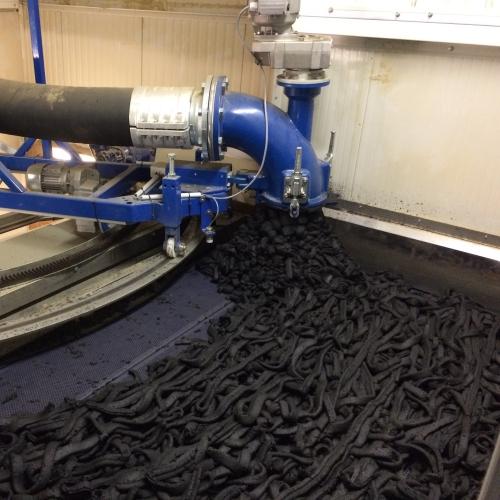 Belt dryer for sewage sludge