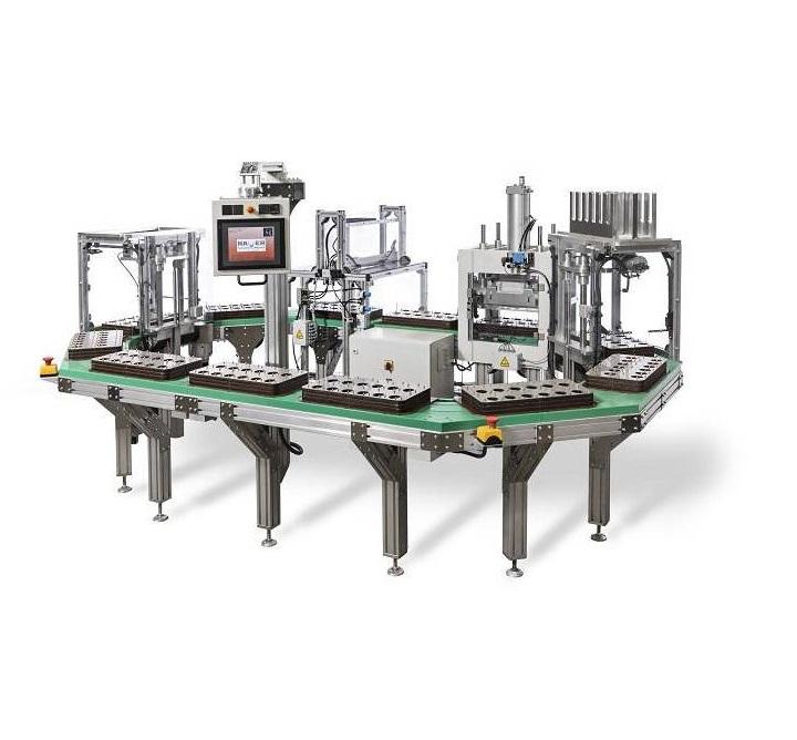 Automatic blister sealing machine for retail products