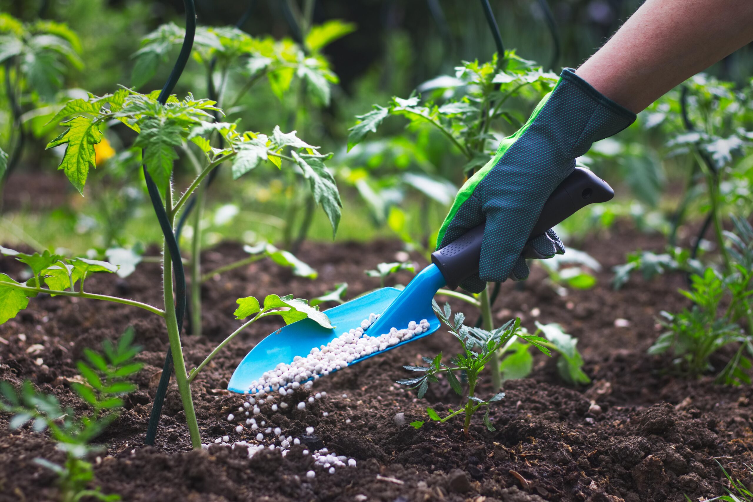 Dust-free solution to packing fertilizers