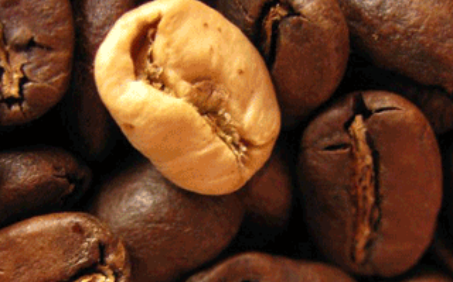 High grade coffee bean separation