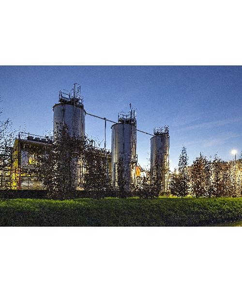 Sunflower oil extraction plant