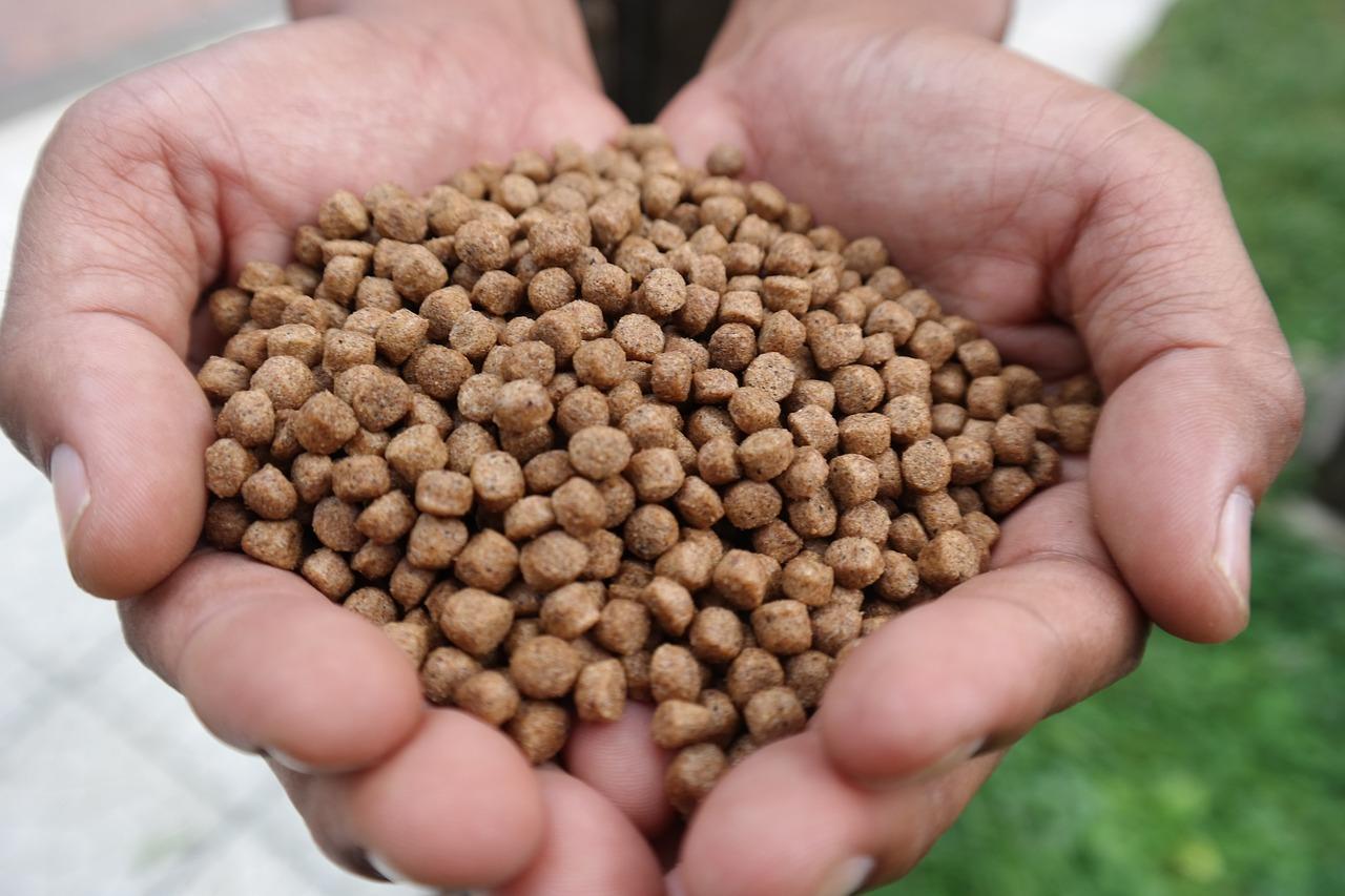 Improve the quality of fish feed products