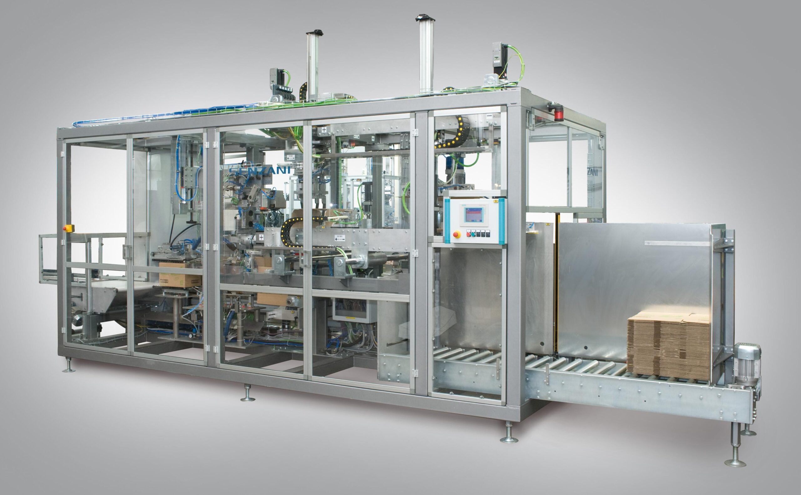Case packer machine for pouches