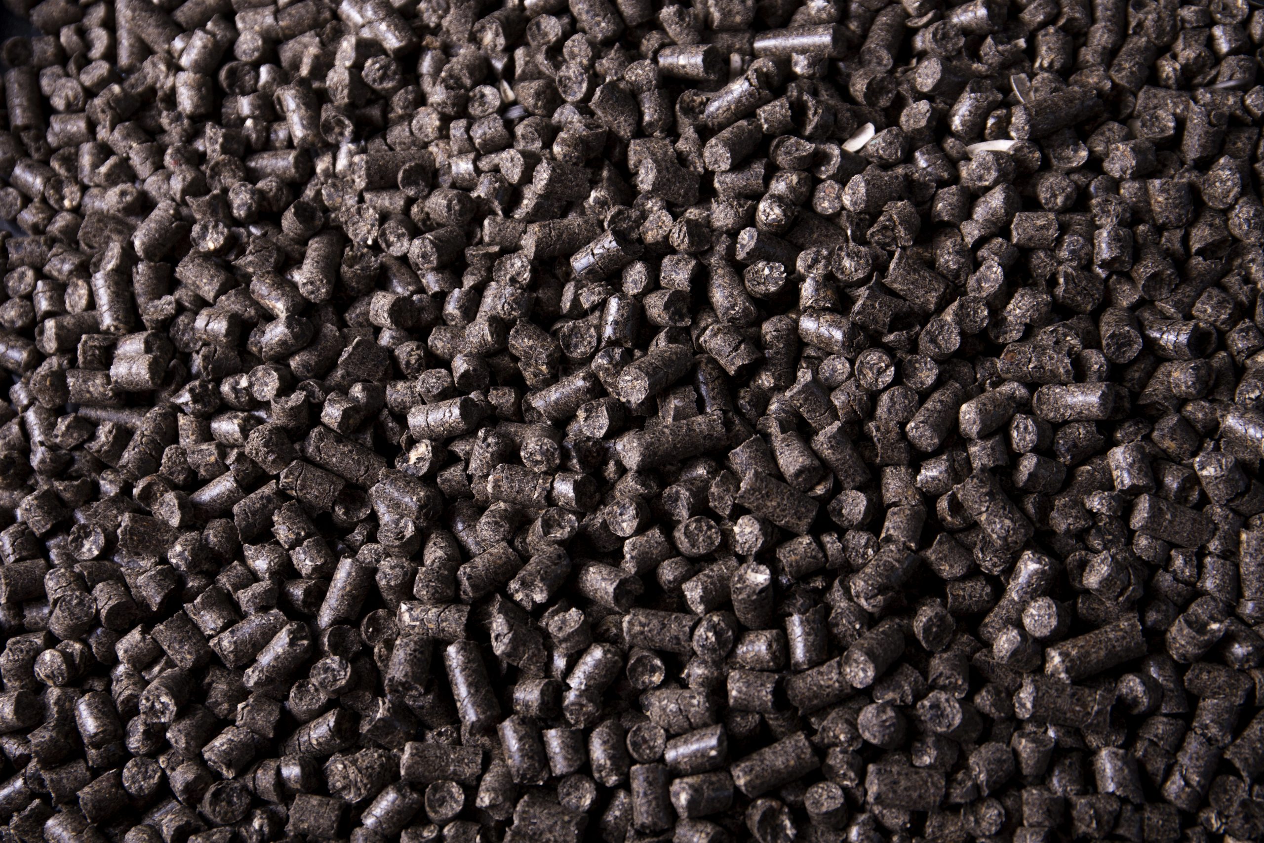 How to make a more effective fuel: black pellets