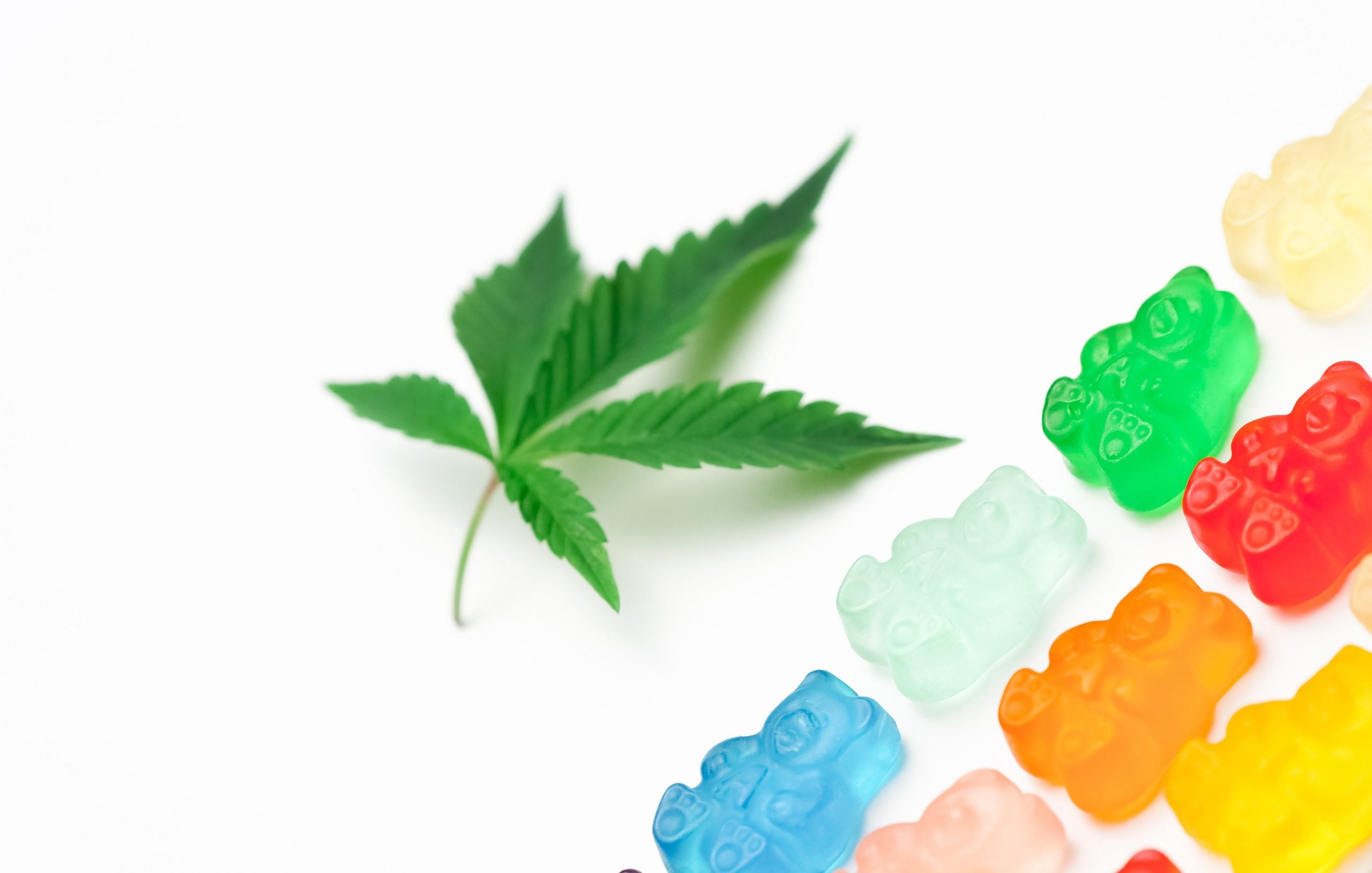 Find CBD Gummy equipment