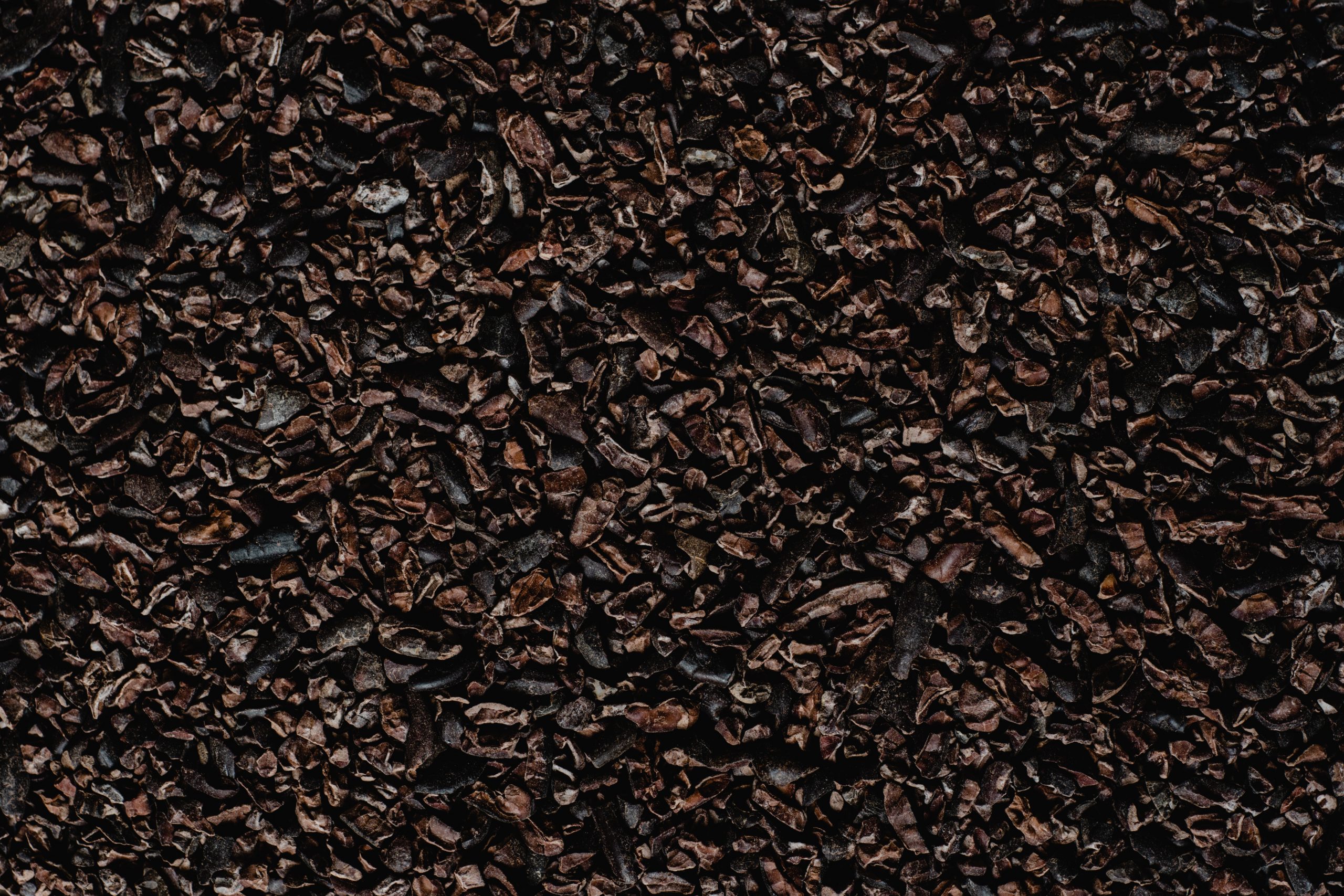 Cocoa nibs making equipment