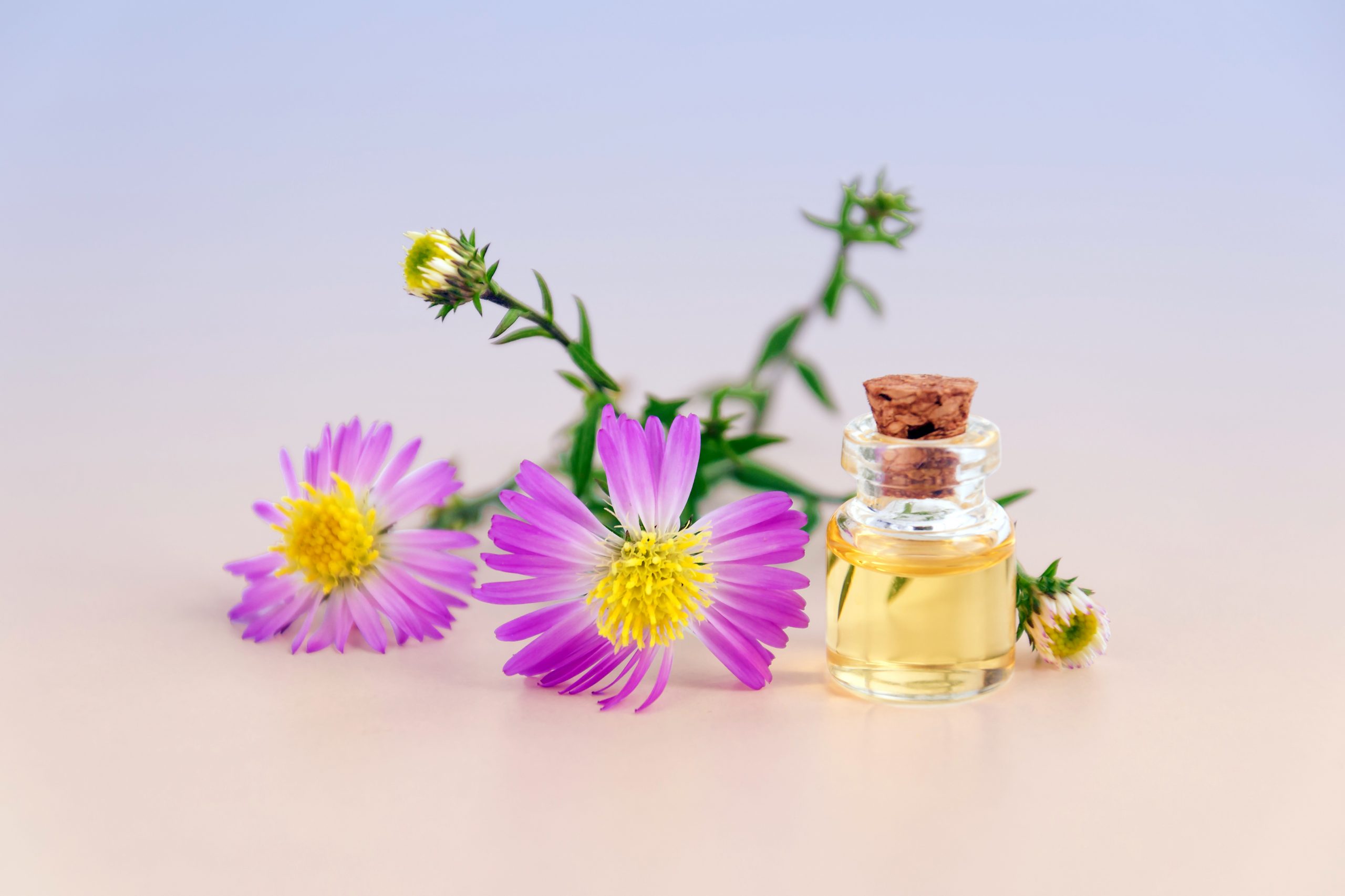 Flower extraction making equipment
