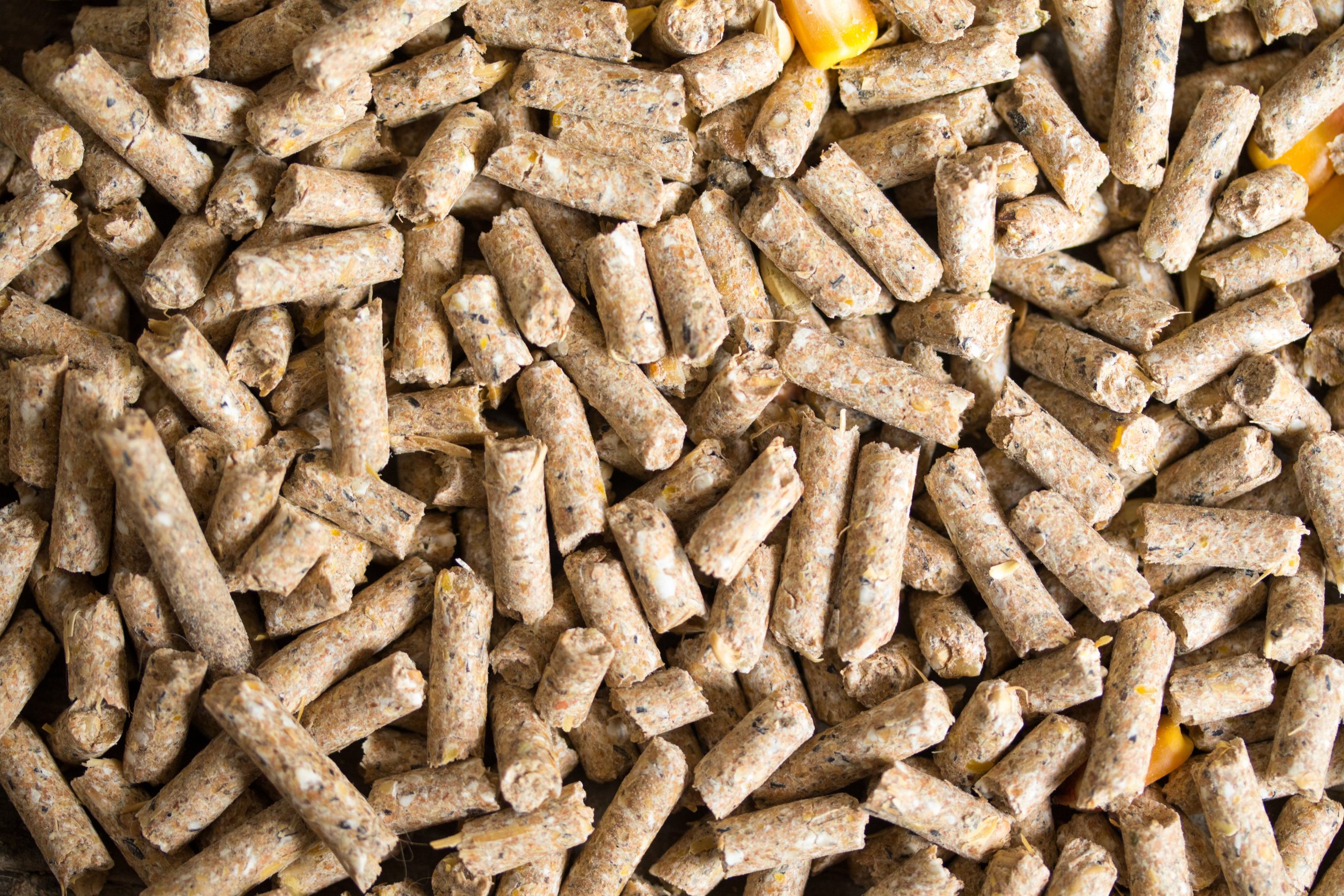 Industrial pellet mill