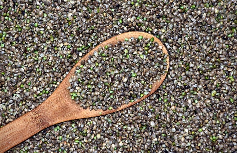 Equipment For Processing Hemp Seeds