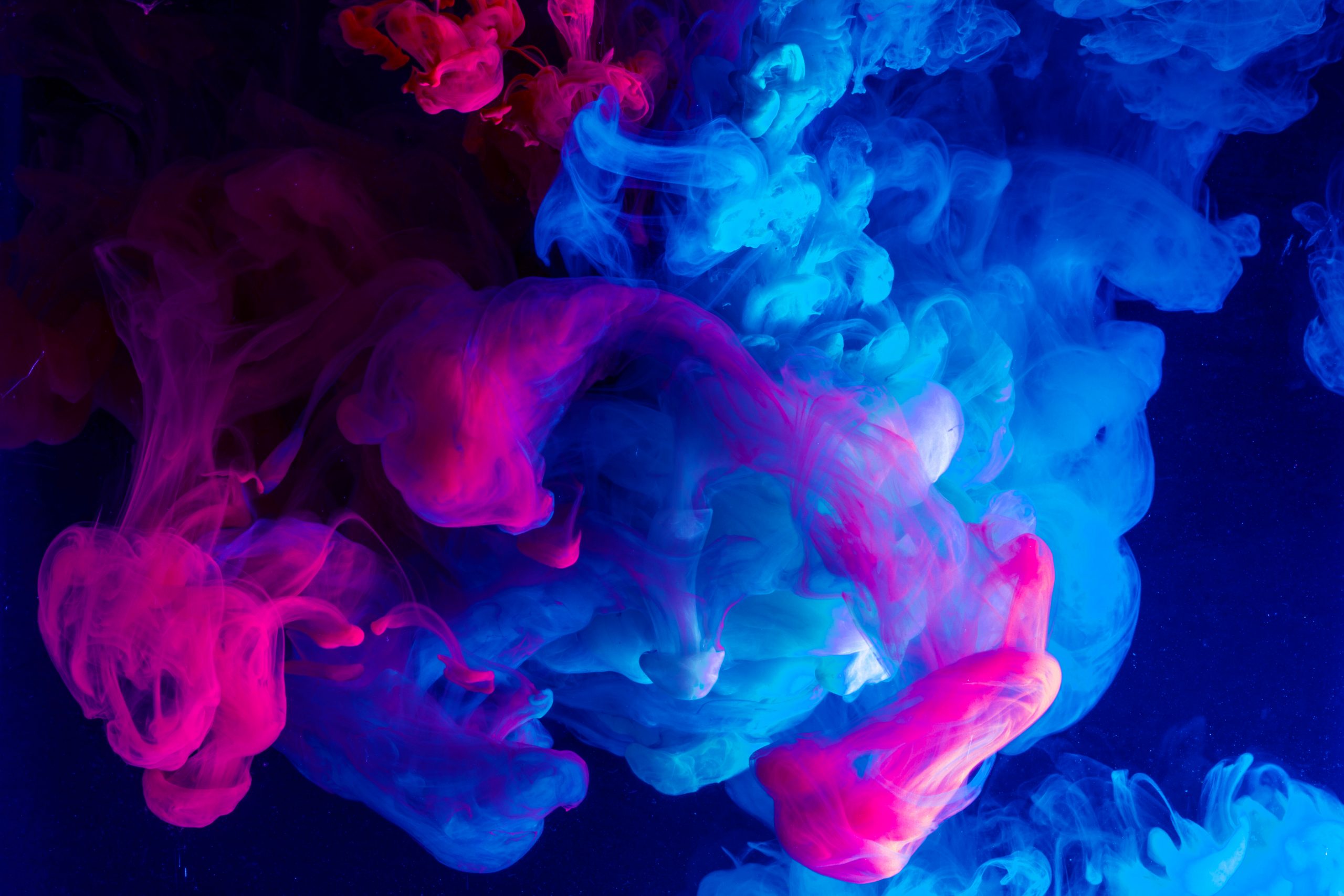 Powder wetting and dispersion system