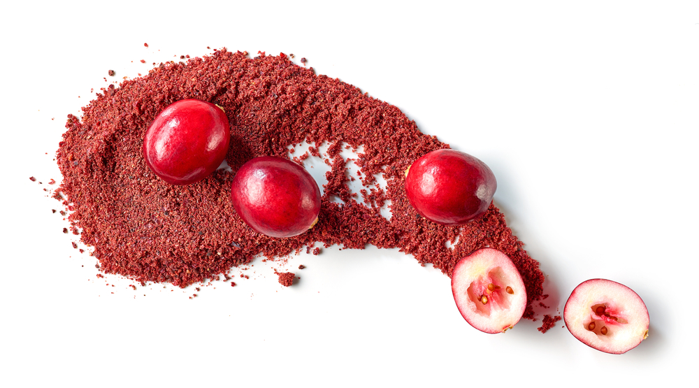 Fruit powder drying Equipment