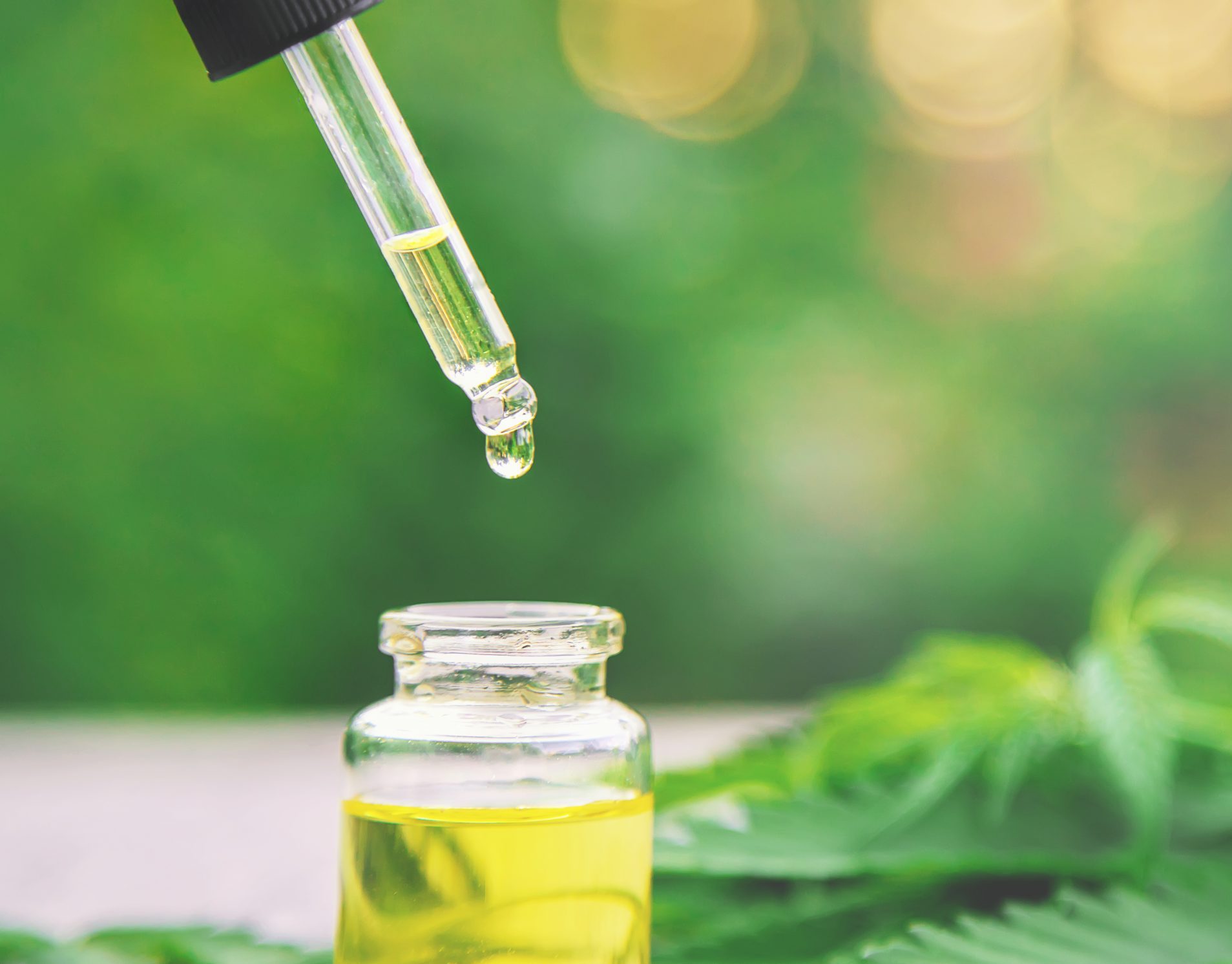 Making Cbd Oil