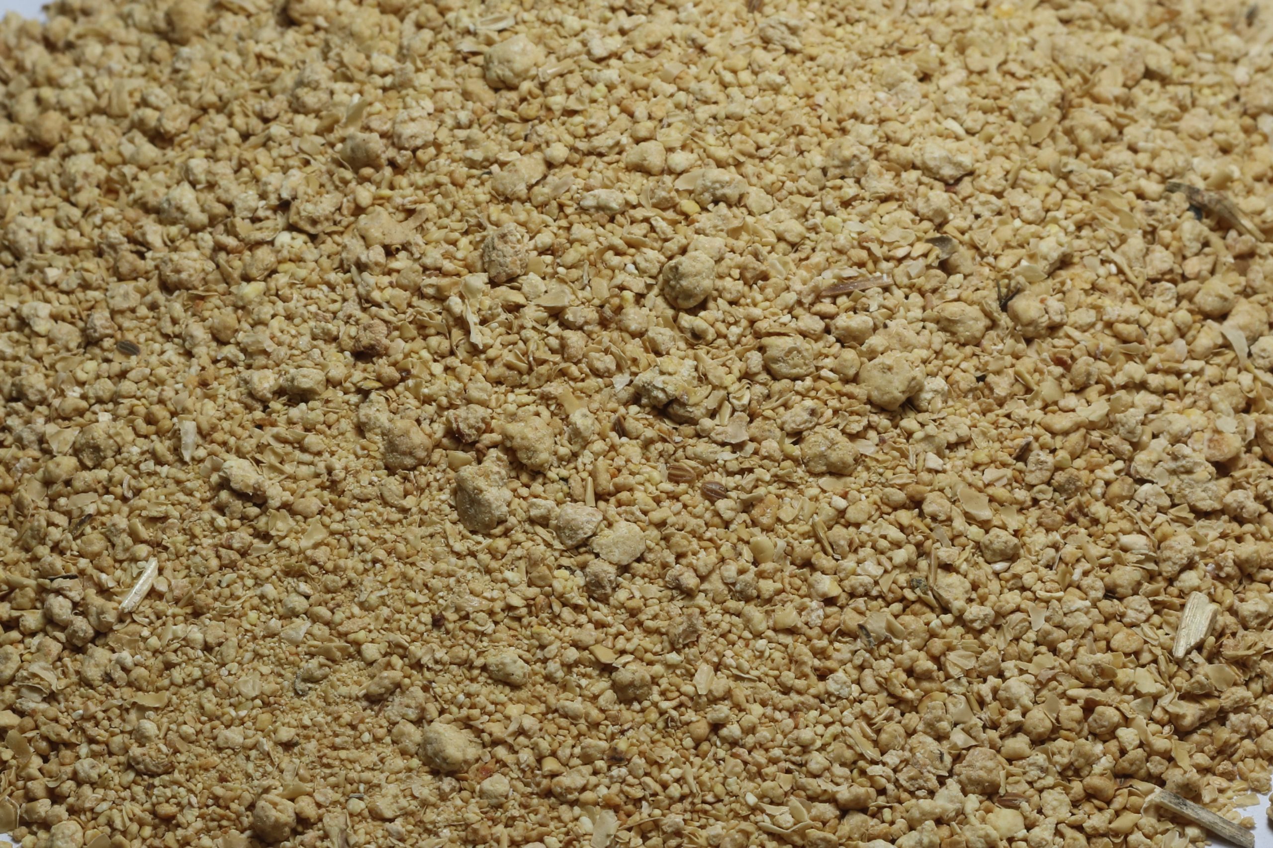 Soybean meal bagging Equipment