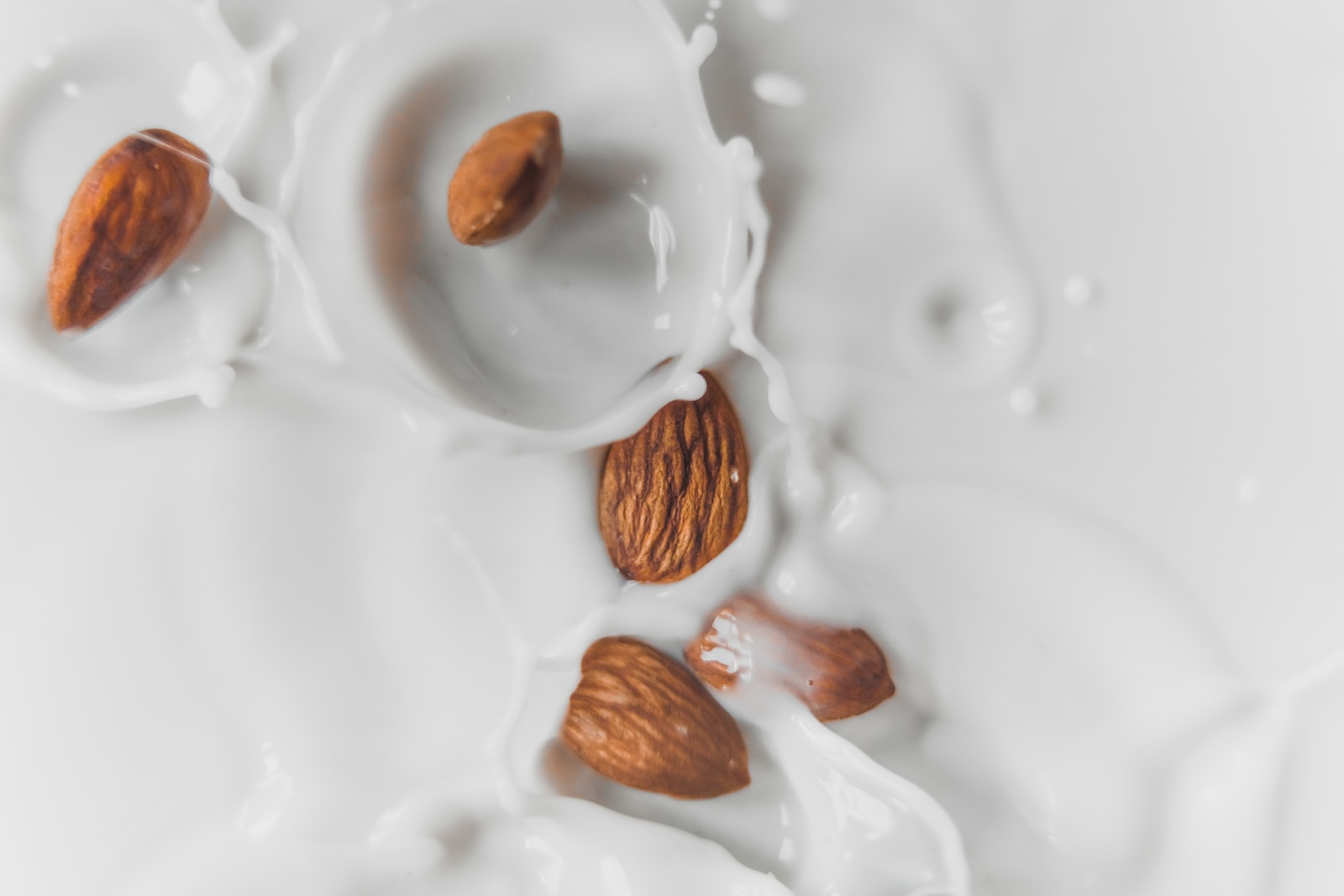 Plant-based Milk Homogenization Equipment