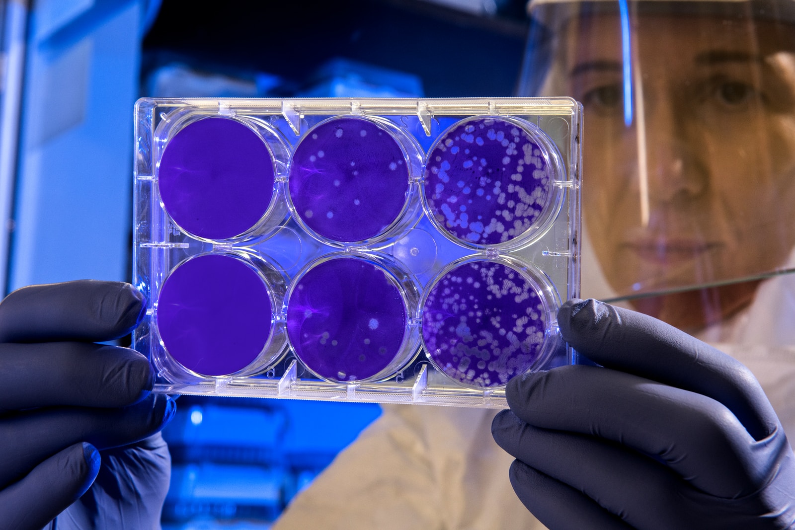 Cell cultures making equipment