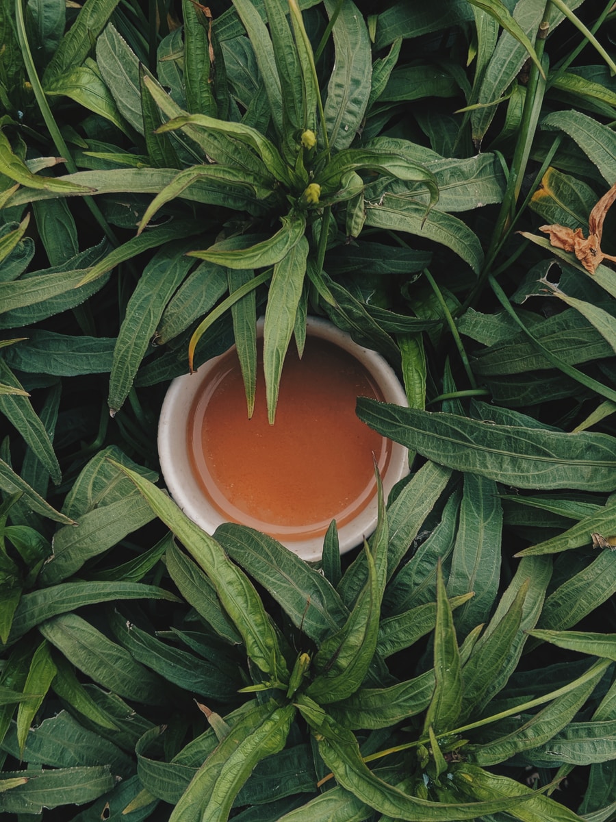 Making tea