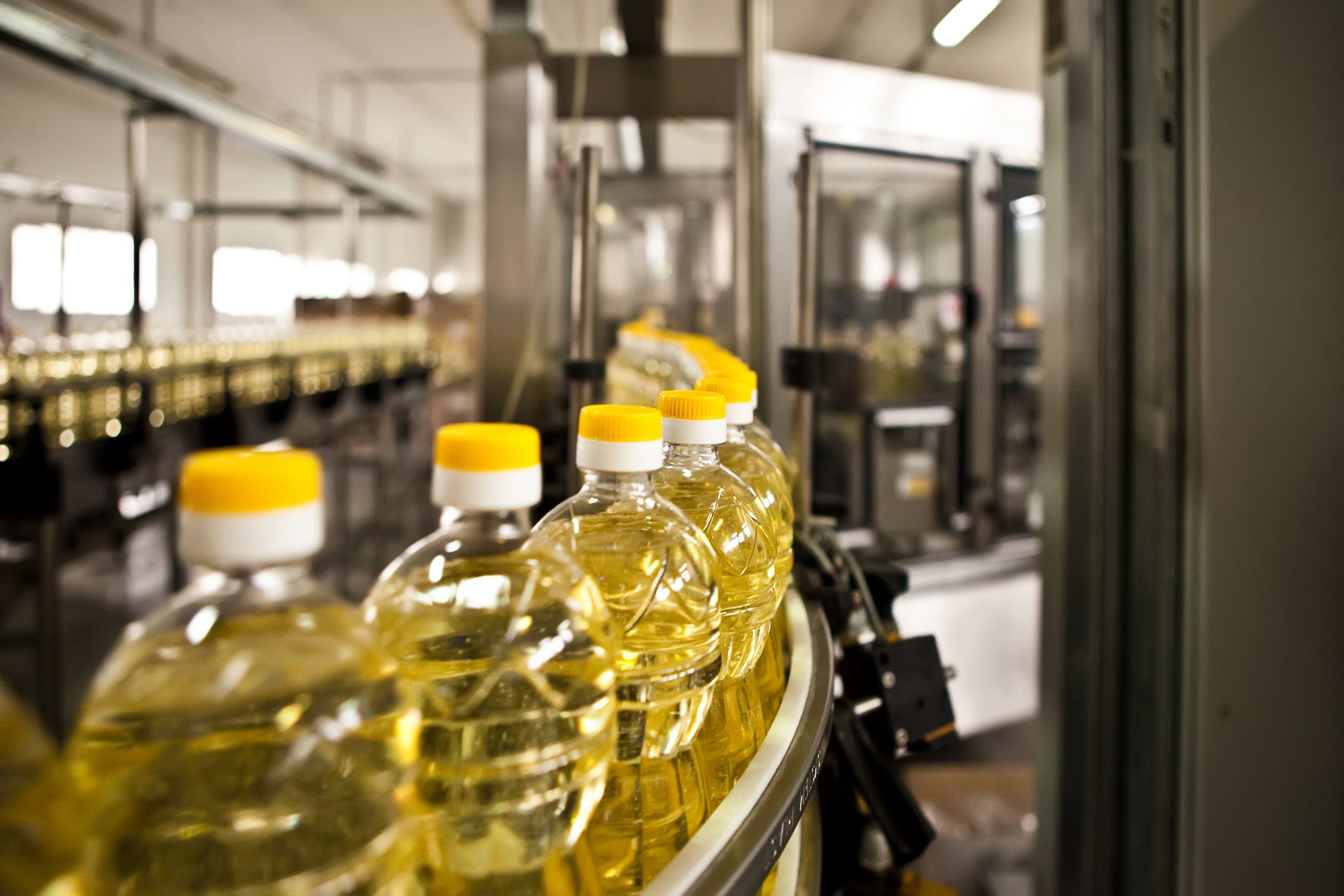Edible Oil Filling Equipment