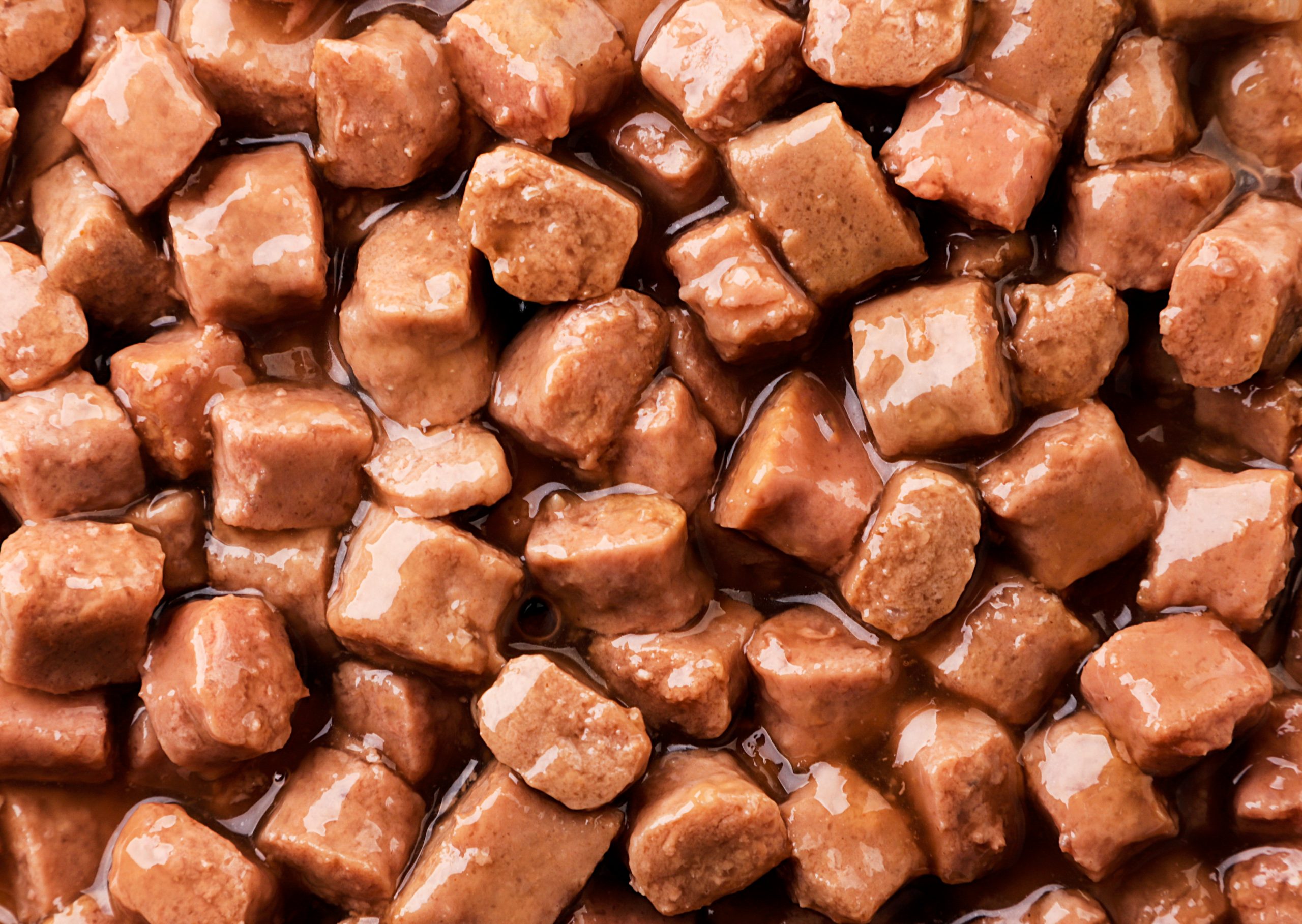 Making Wet Pet Food