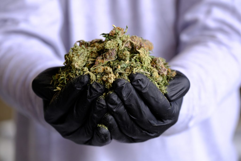 How to create less waste when extracting CBD oil