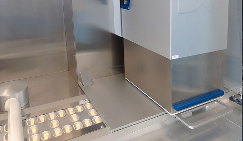 Blister inspection system