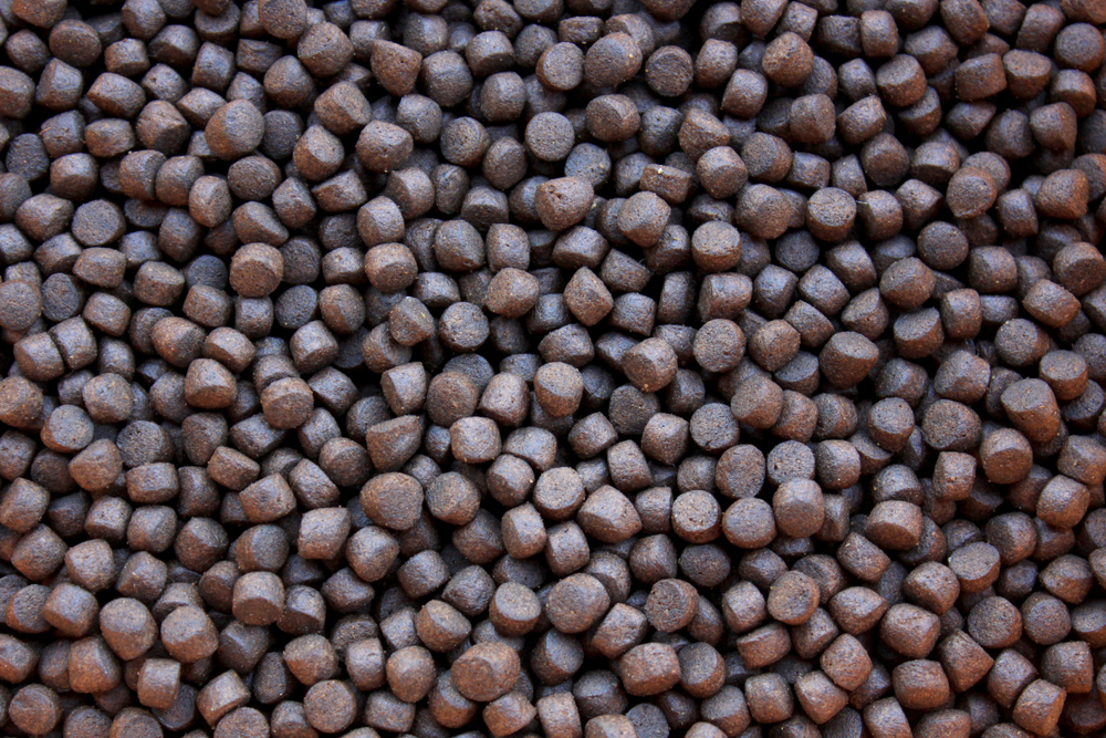 Making Aquafeed