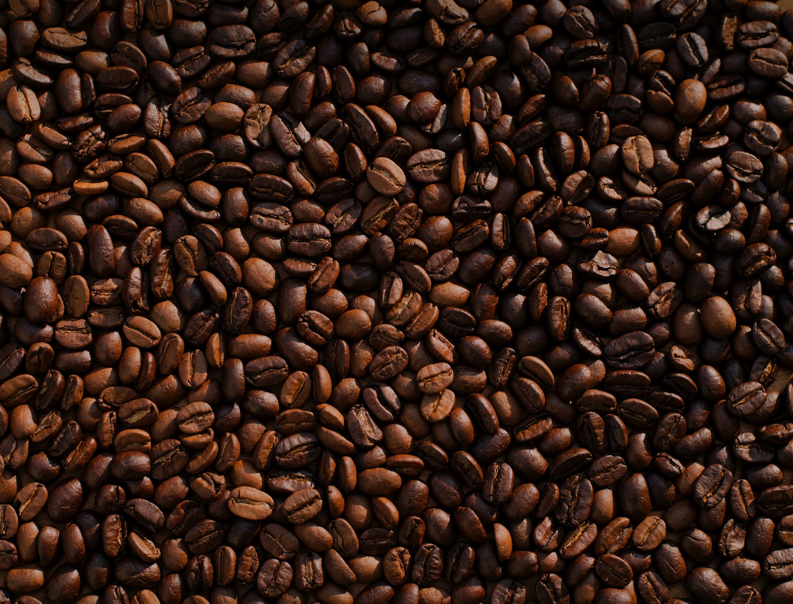 Coffee Grinding Equipment