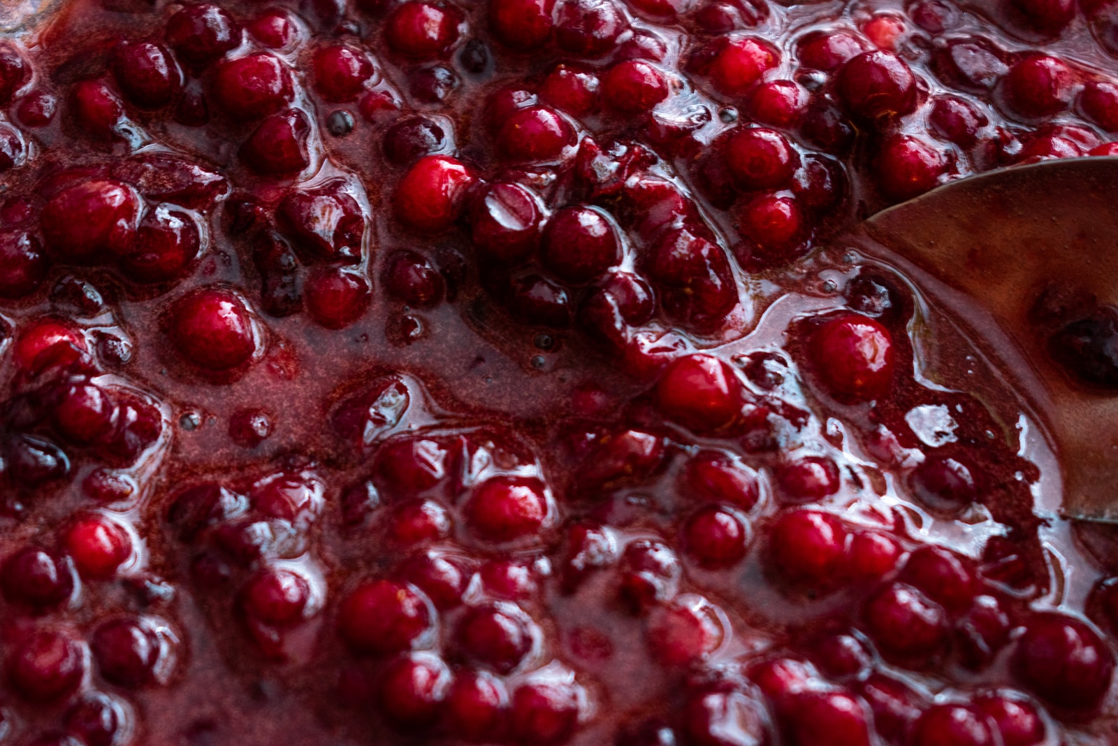Fruit Pulp Heating Equipment